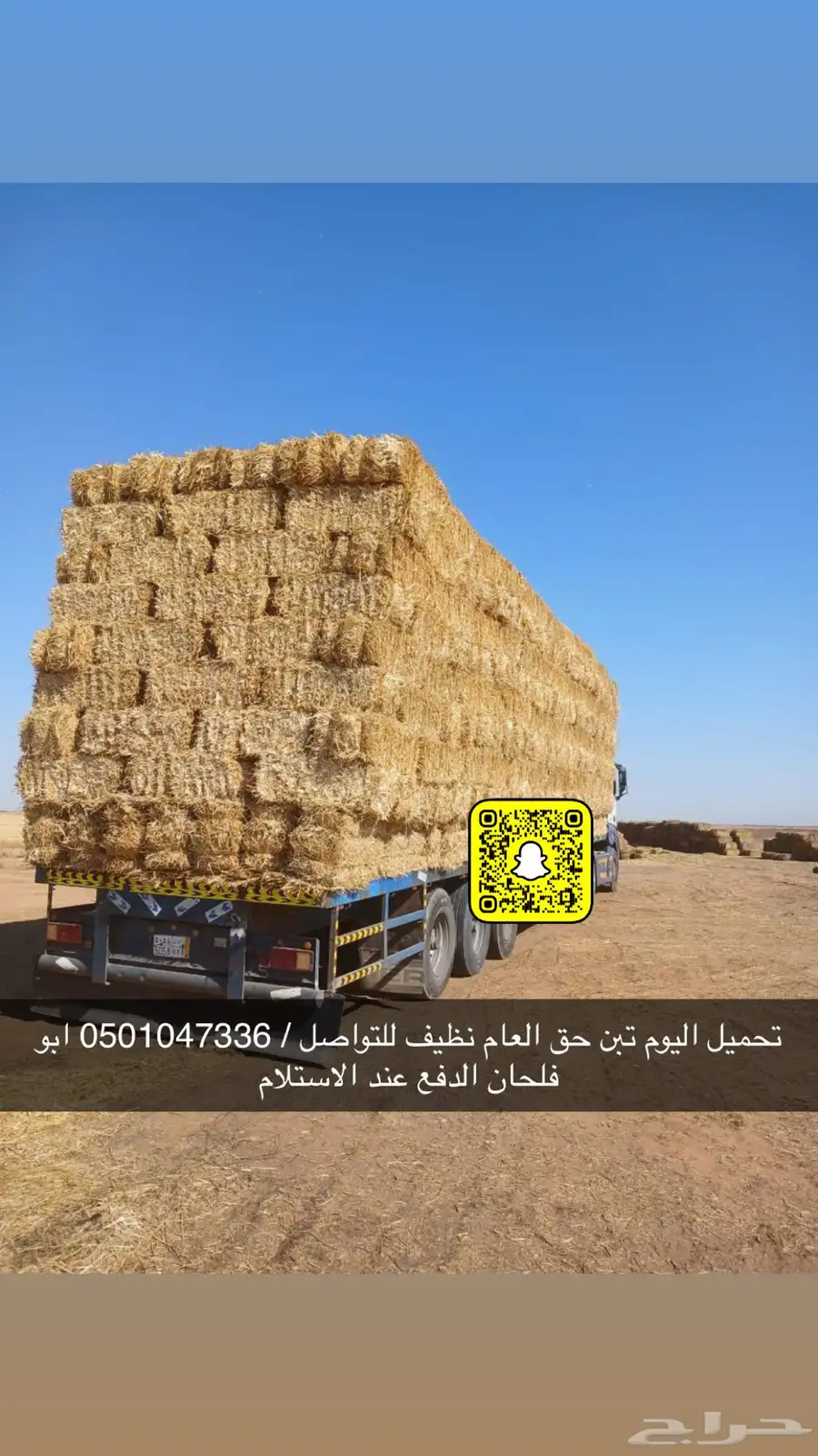 تبن قمح حق العام نظيف شد طيب الدفع عند الاستلام 0