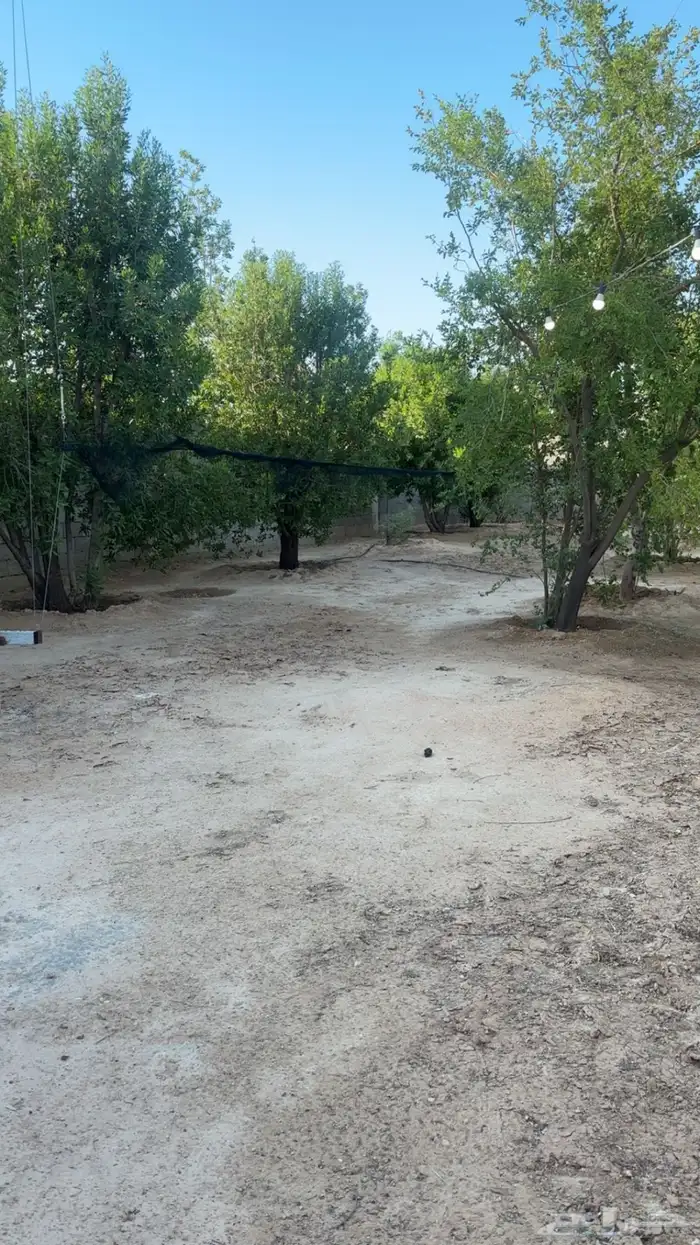 مزرعة للإيجار اسبوعي يومي في قرية زبالا 4