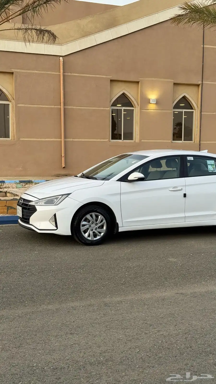 النترا 2019 6