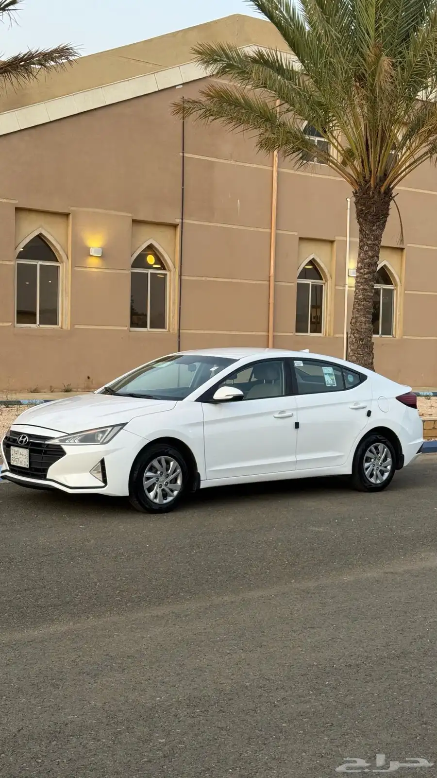 النترا 2019 7