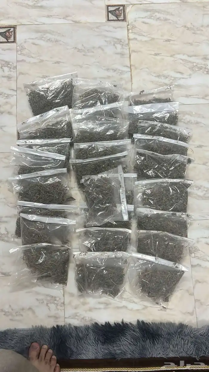 زعتر بري 0
