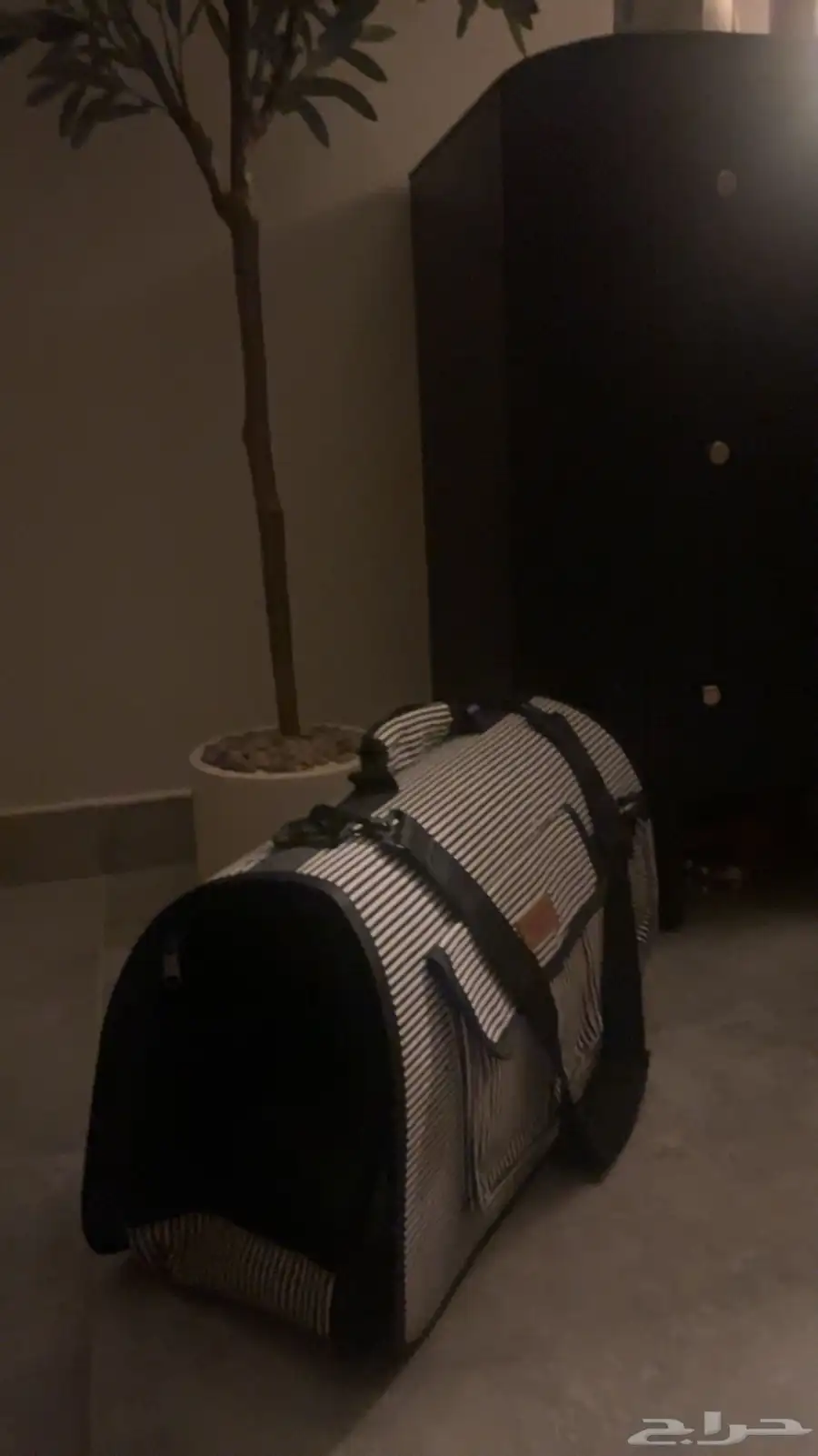 Cat Carrier حقيبة لحمل القطط 0