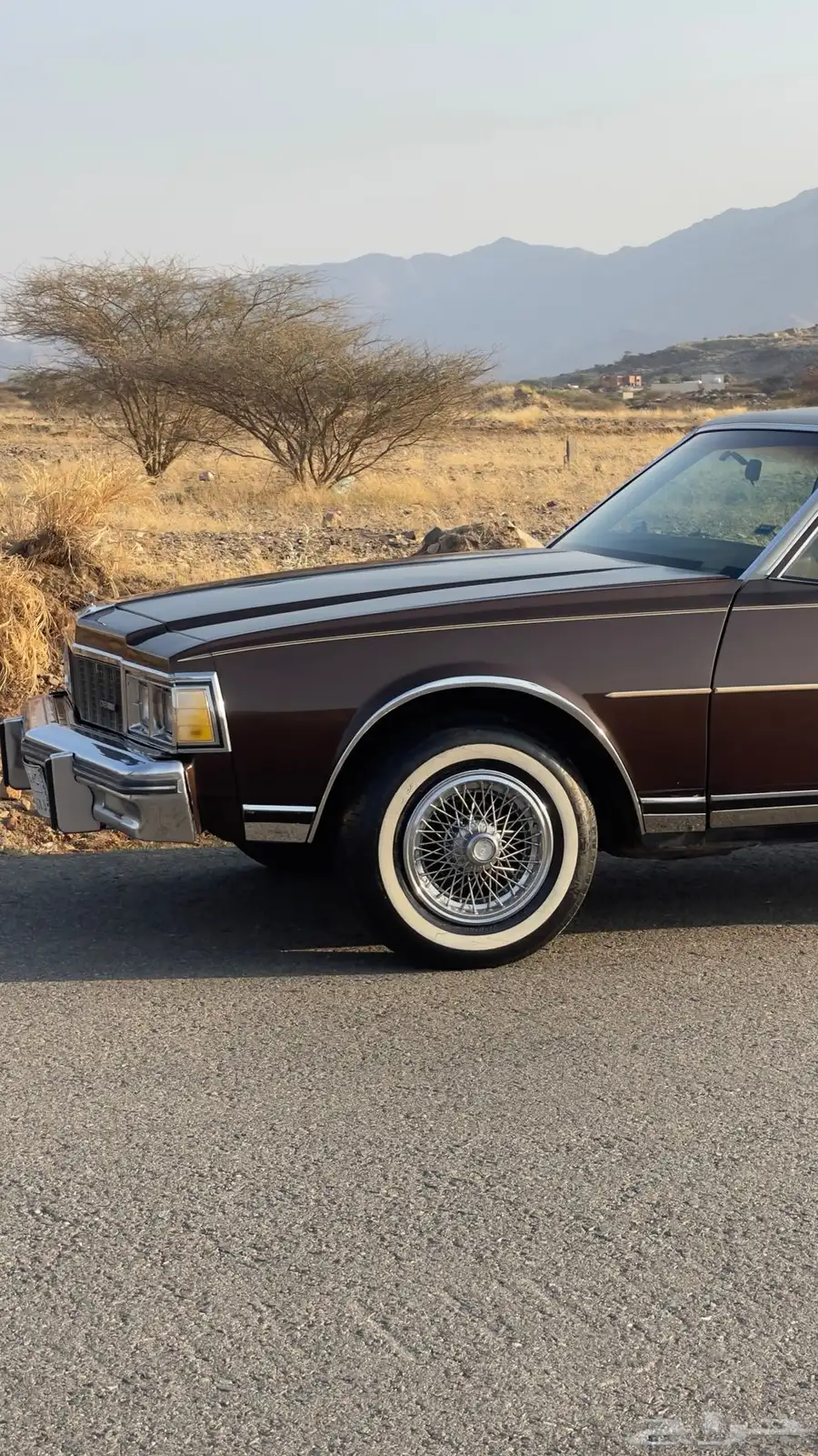 كابرس 1979 4