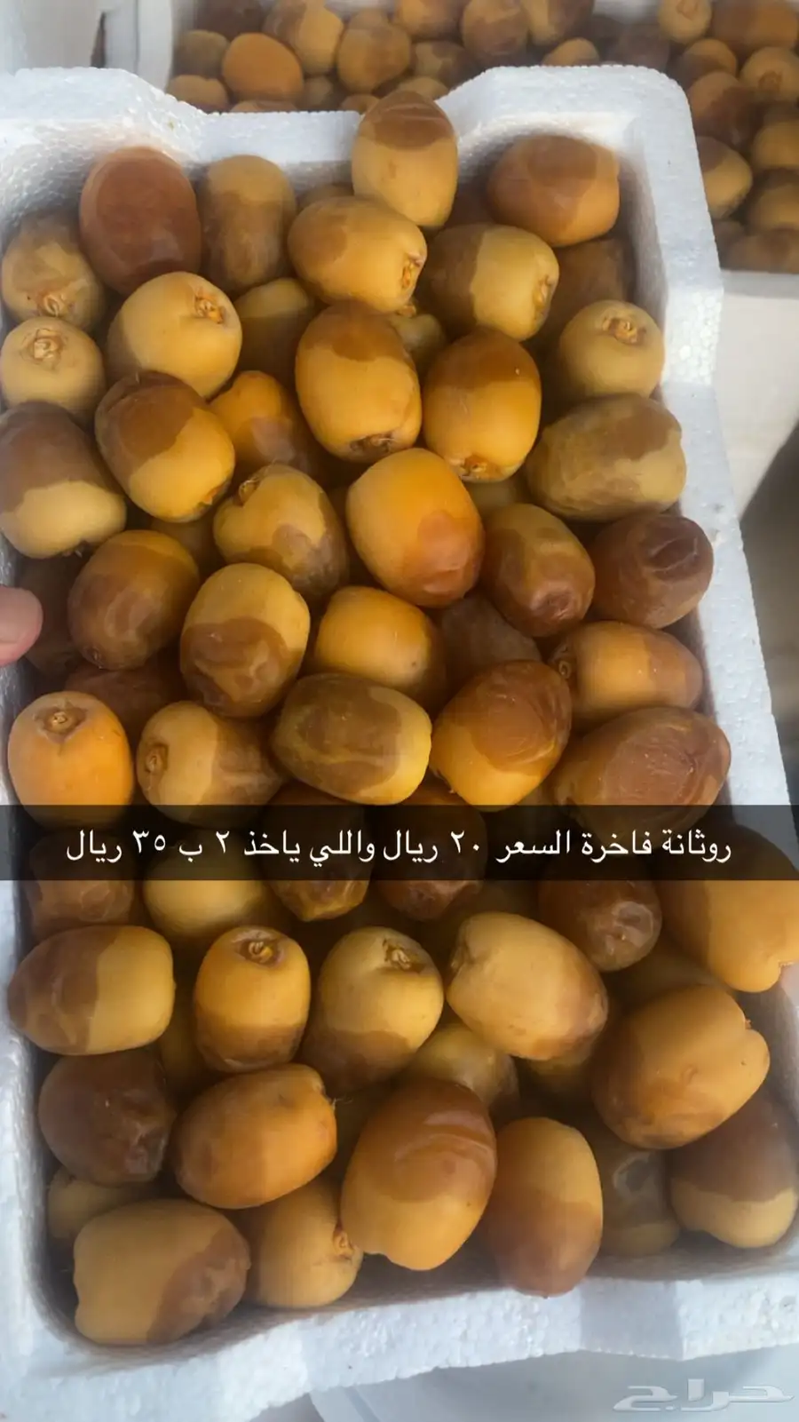 رطب للبيع 0