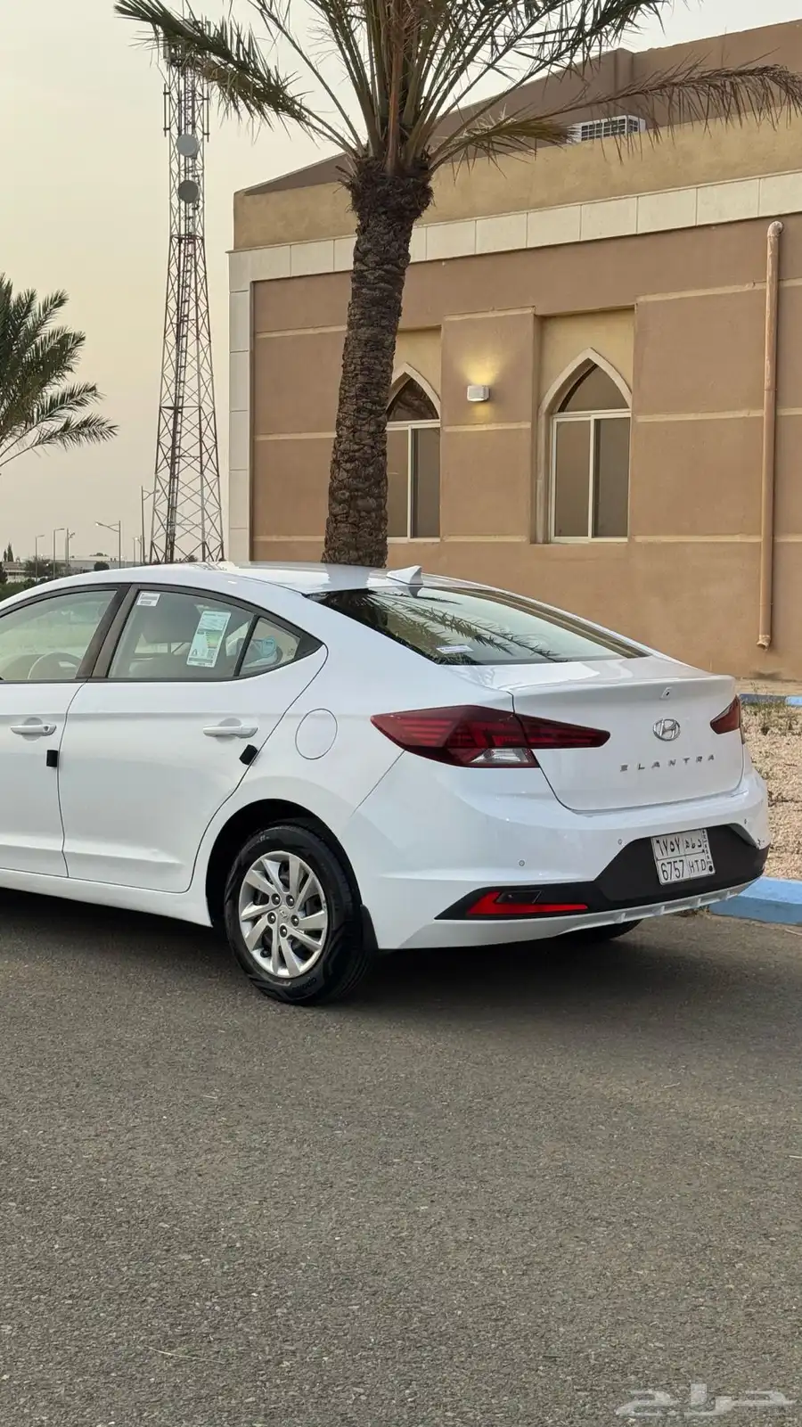 النترا 2019 3
