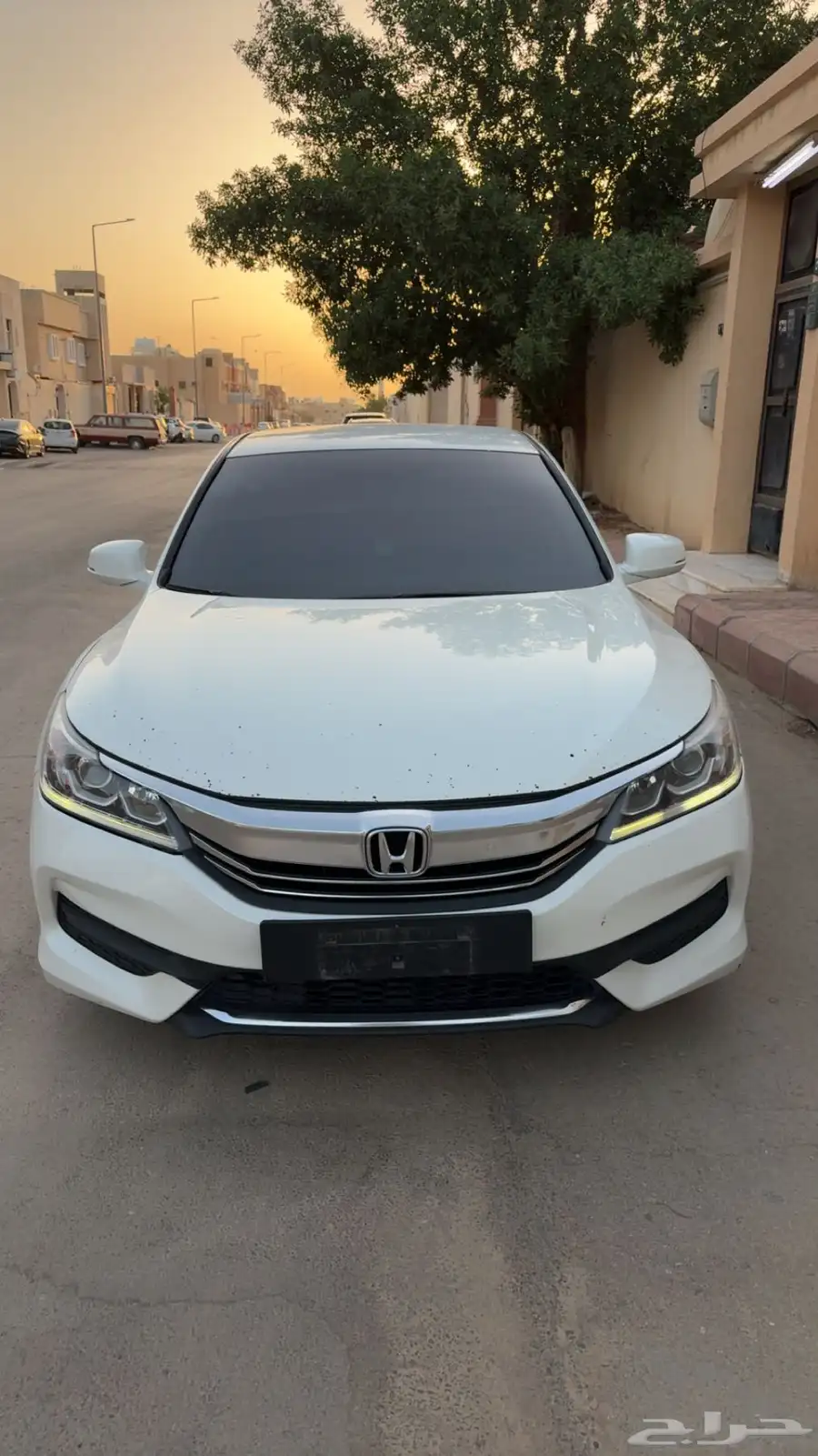 شبك اكورد 2017 0