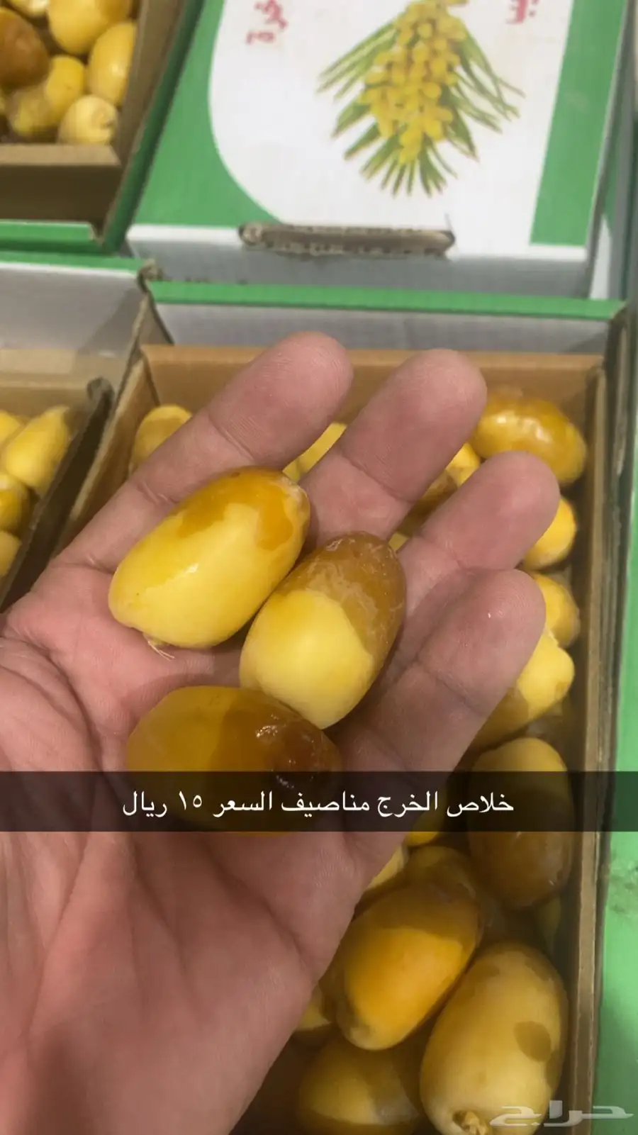 رطب للبيع 1