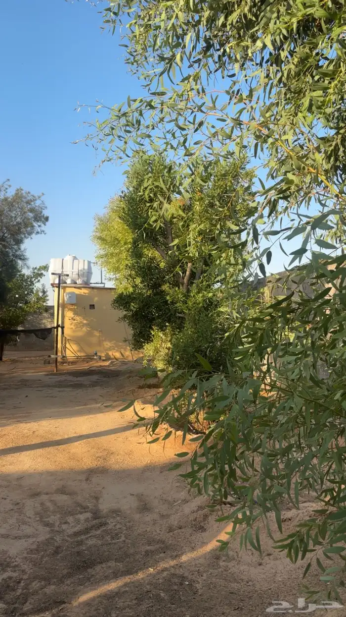 مزرعة للايجار في قرية زبالا 1