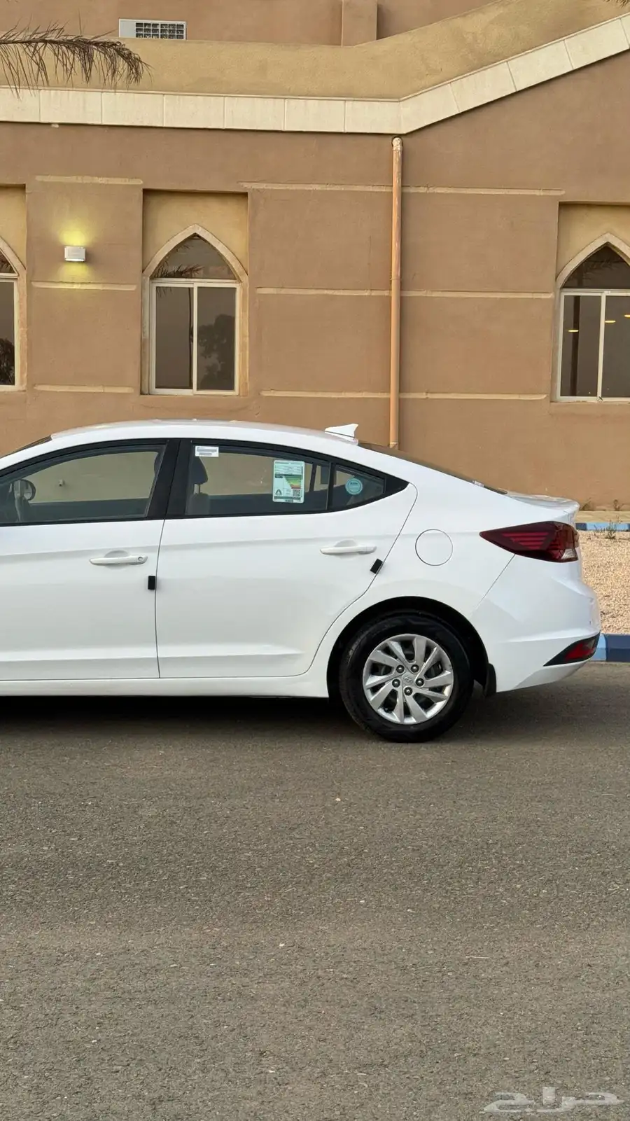 النترا 2019 5