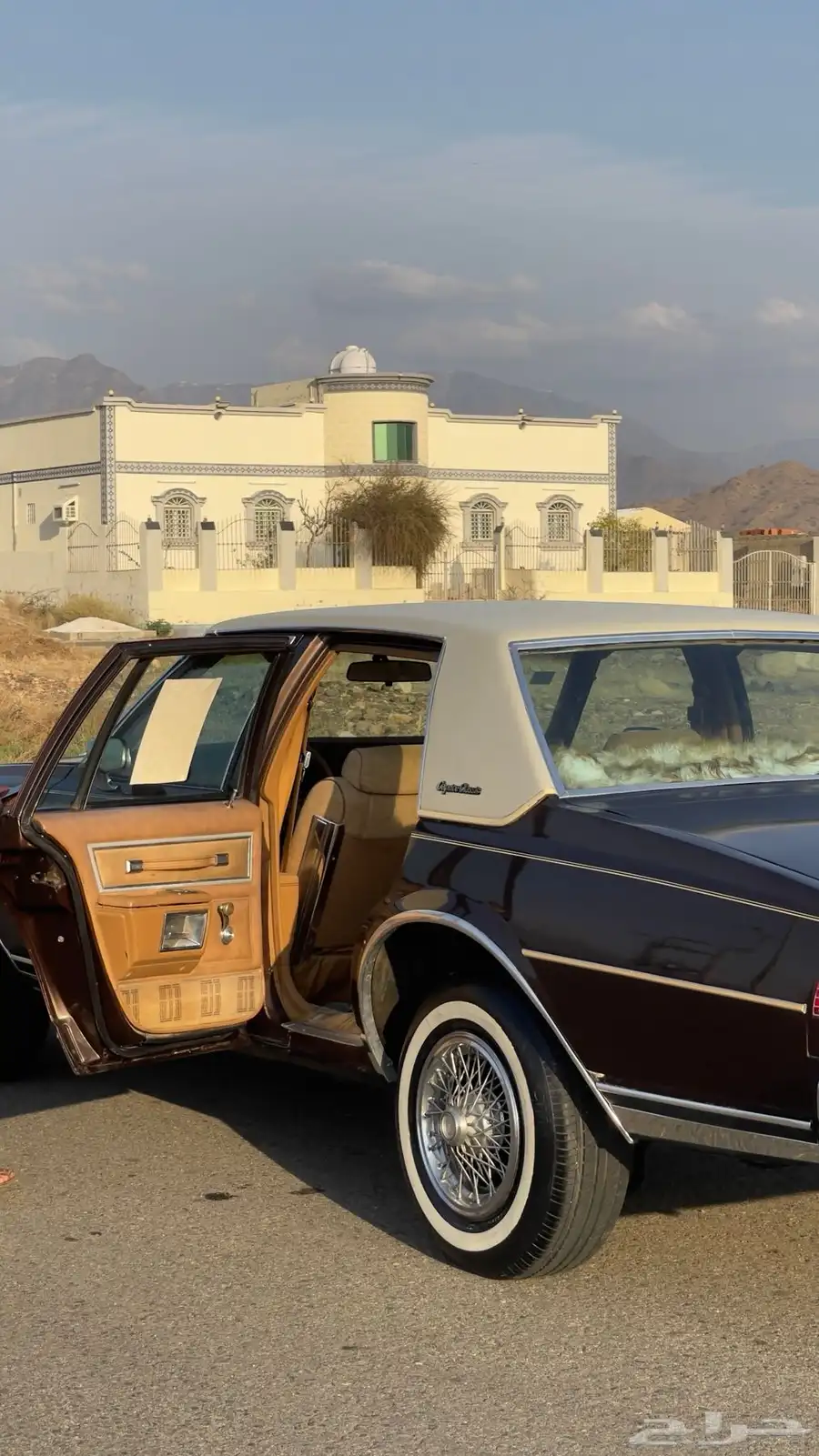 كابرس 1979 7