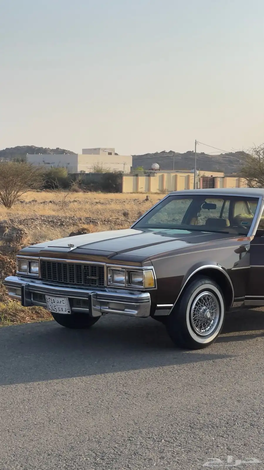 كابرس 1979 5