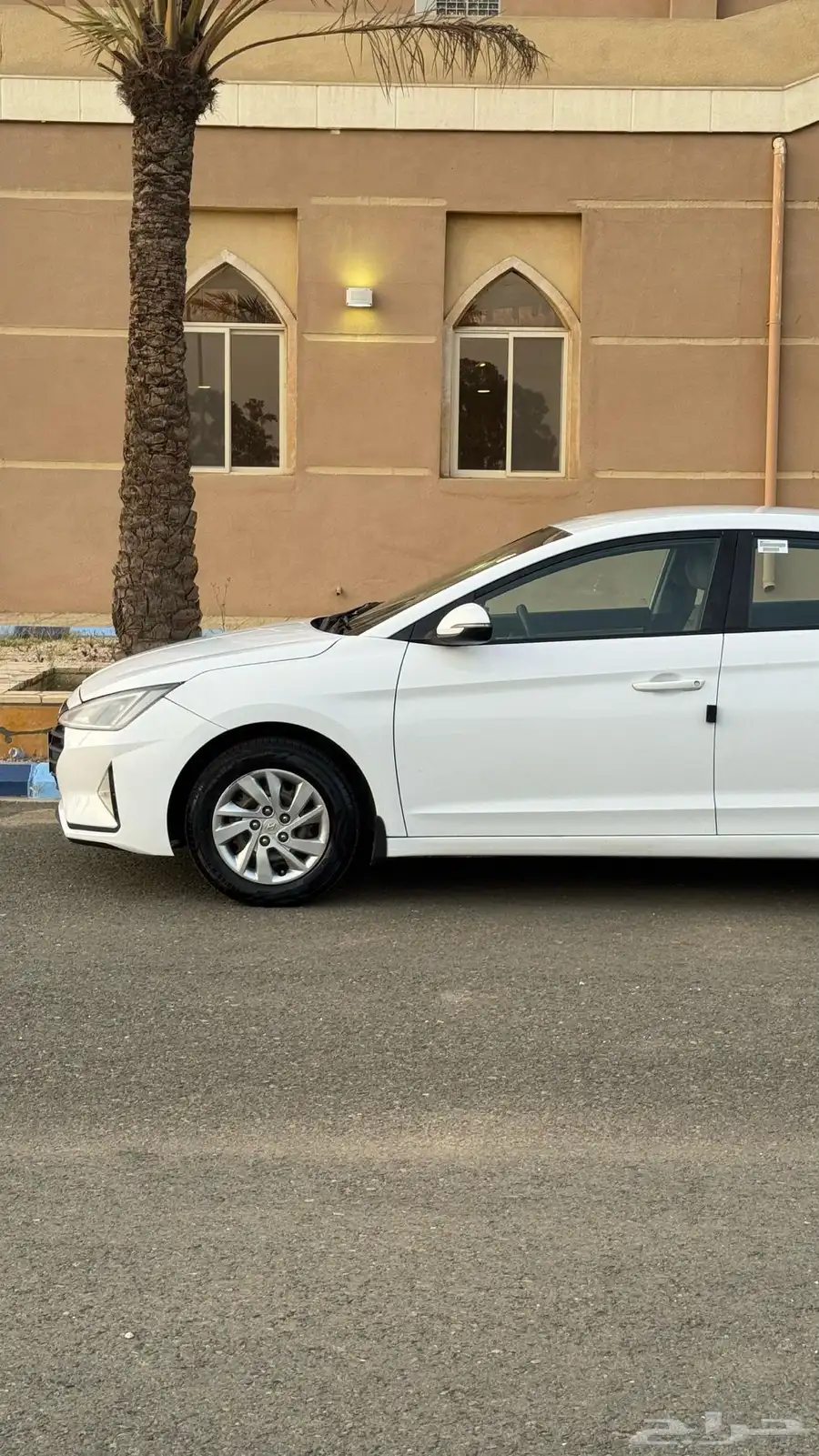 النترا 2019 4