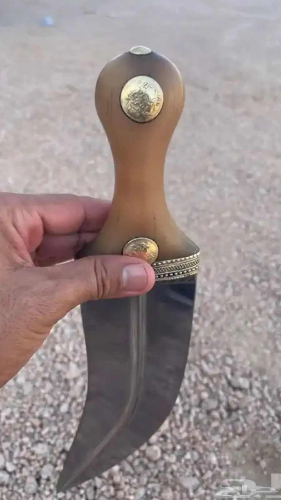 جنبيه شبه الزراف كفو 2