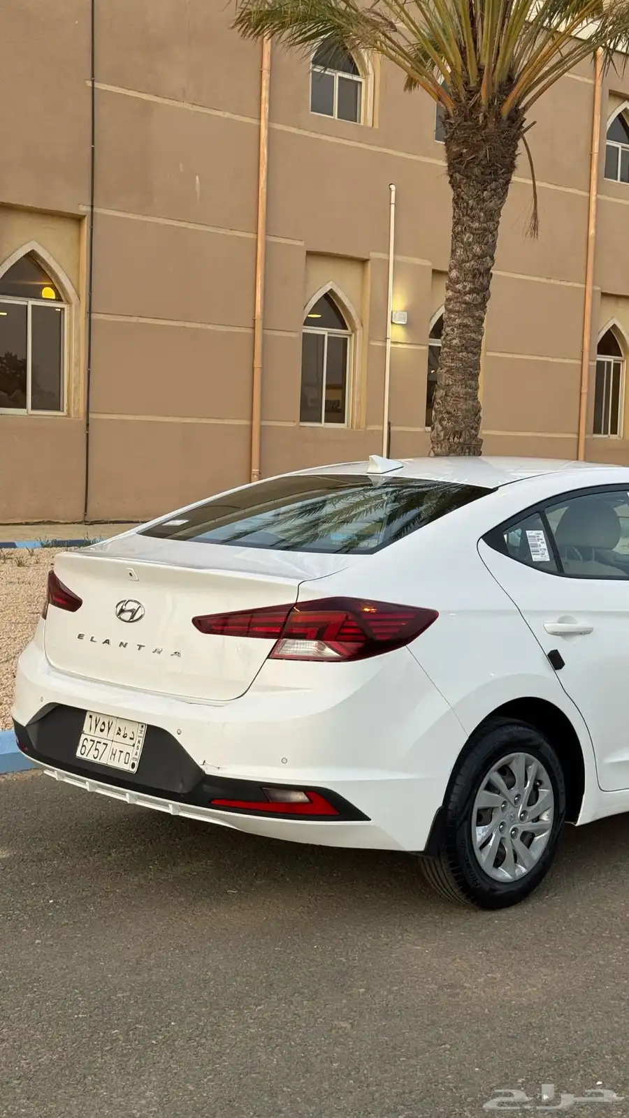 النترا 2019 5