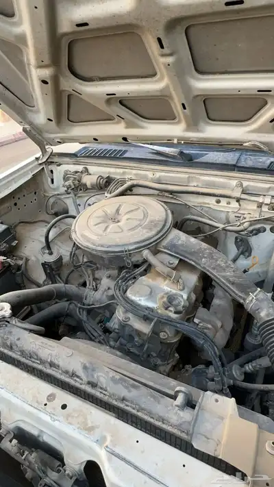 ددسن 1999 11