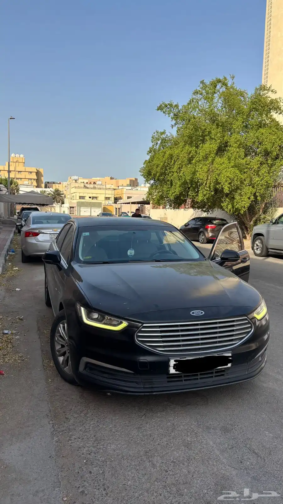 تورس 2022 1