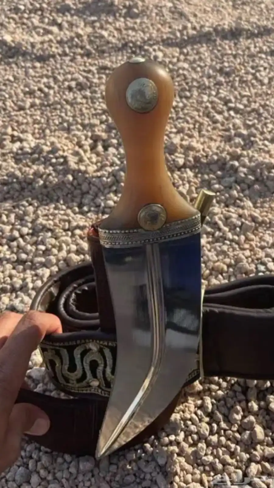 جنبيه شبه الزراف كفو 1
