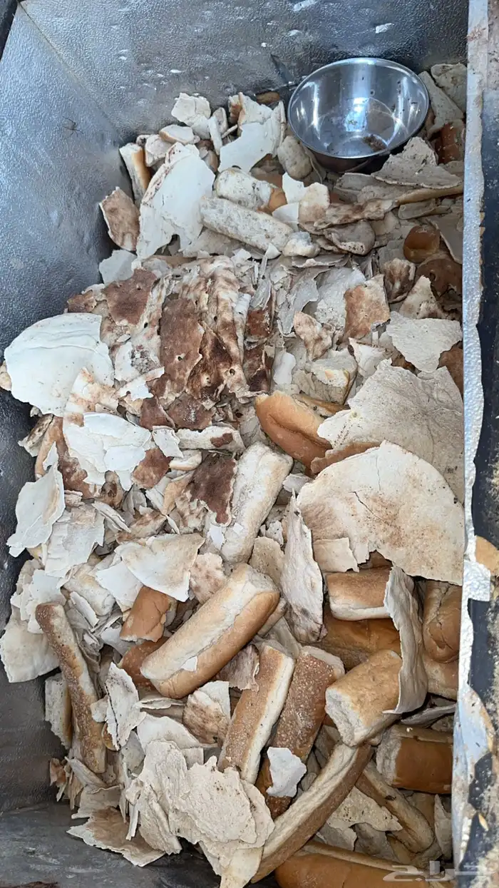 خبز علف يابس وادي الدواسر 0