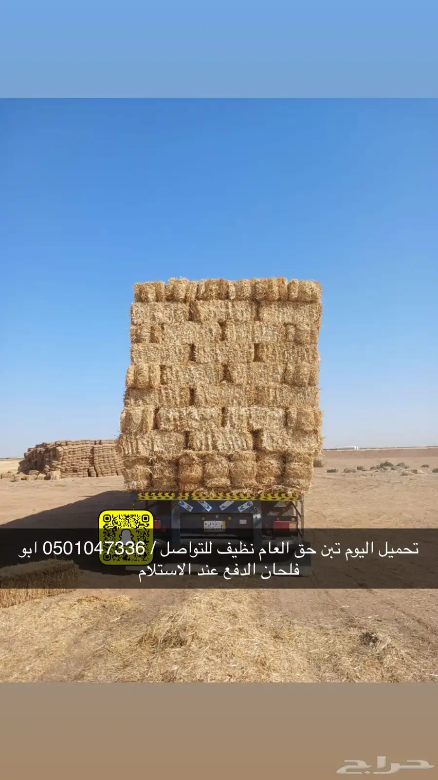 تبن قمح حق العام نظيف شد طيب الدفع عند الاستلام 2