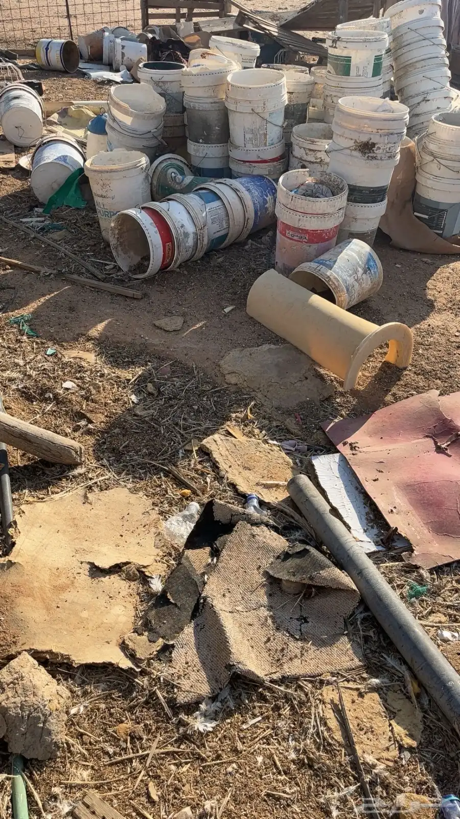 سطول بويه 1