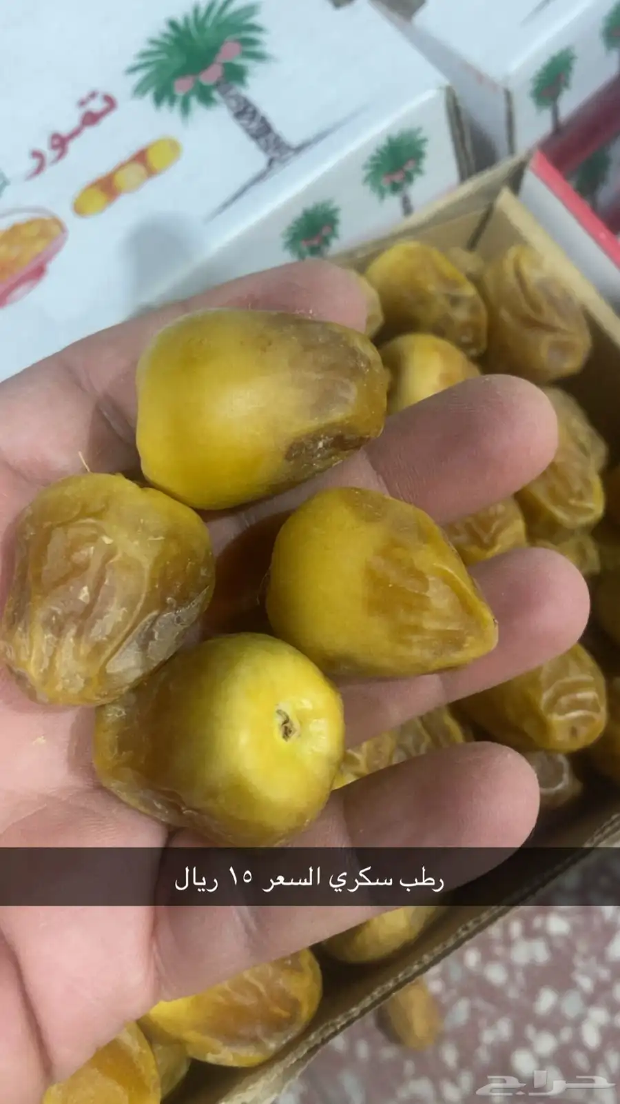 رطب للبيع 2