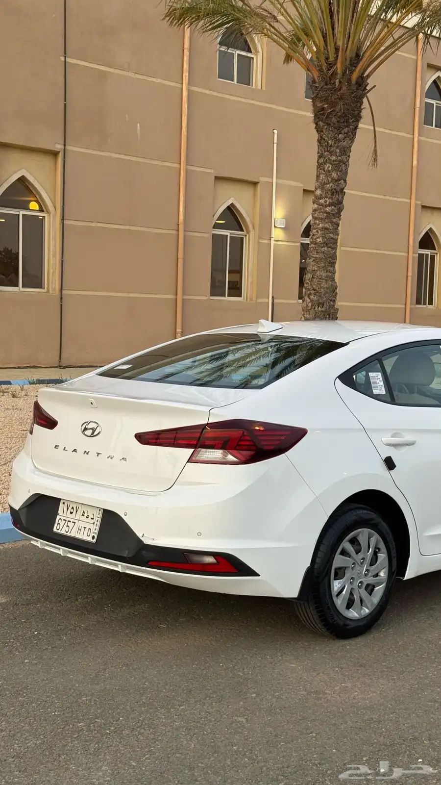 النترا 2019 10