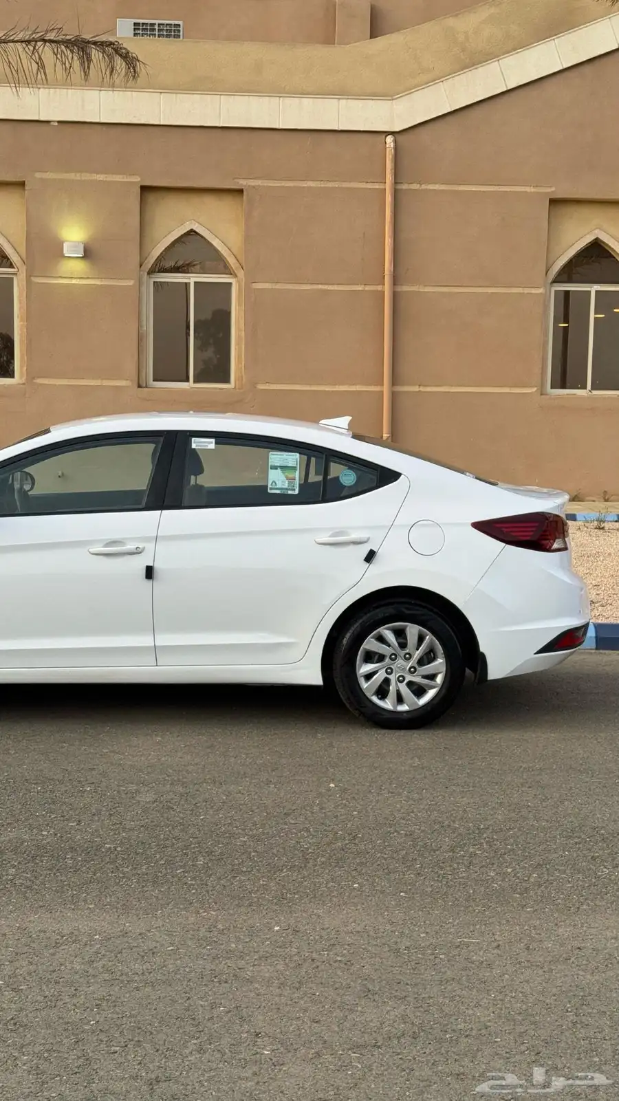 النترا 2019 2