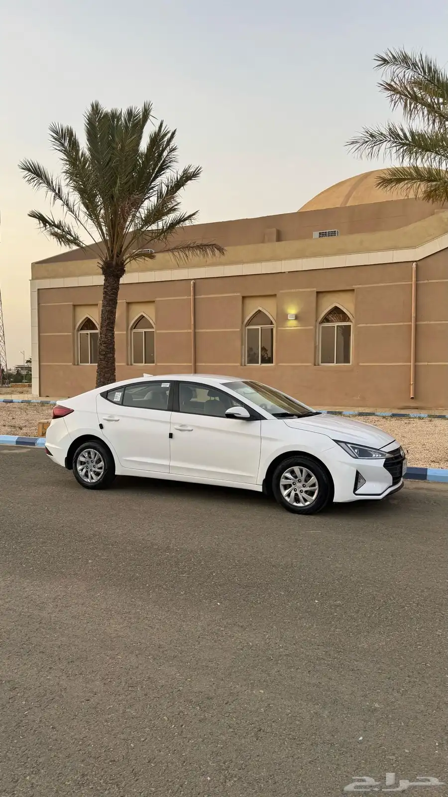 النترا 2019 11