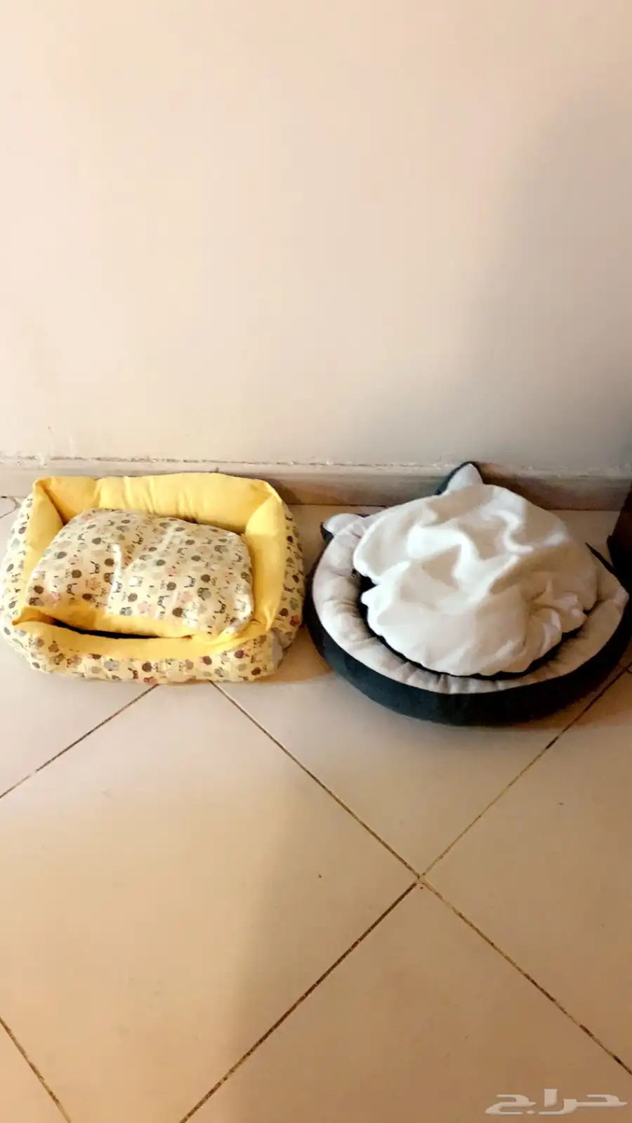 مستلزمات قطط 1