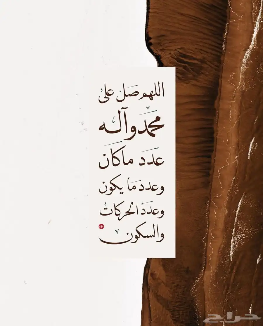 مطلوب شقه للايجار 0