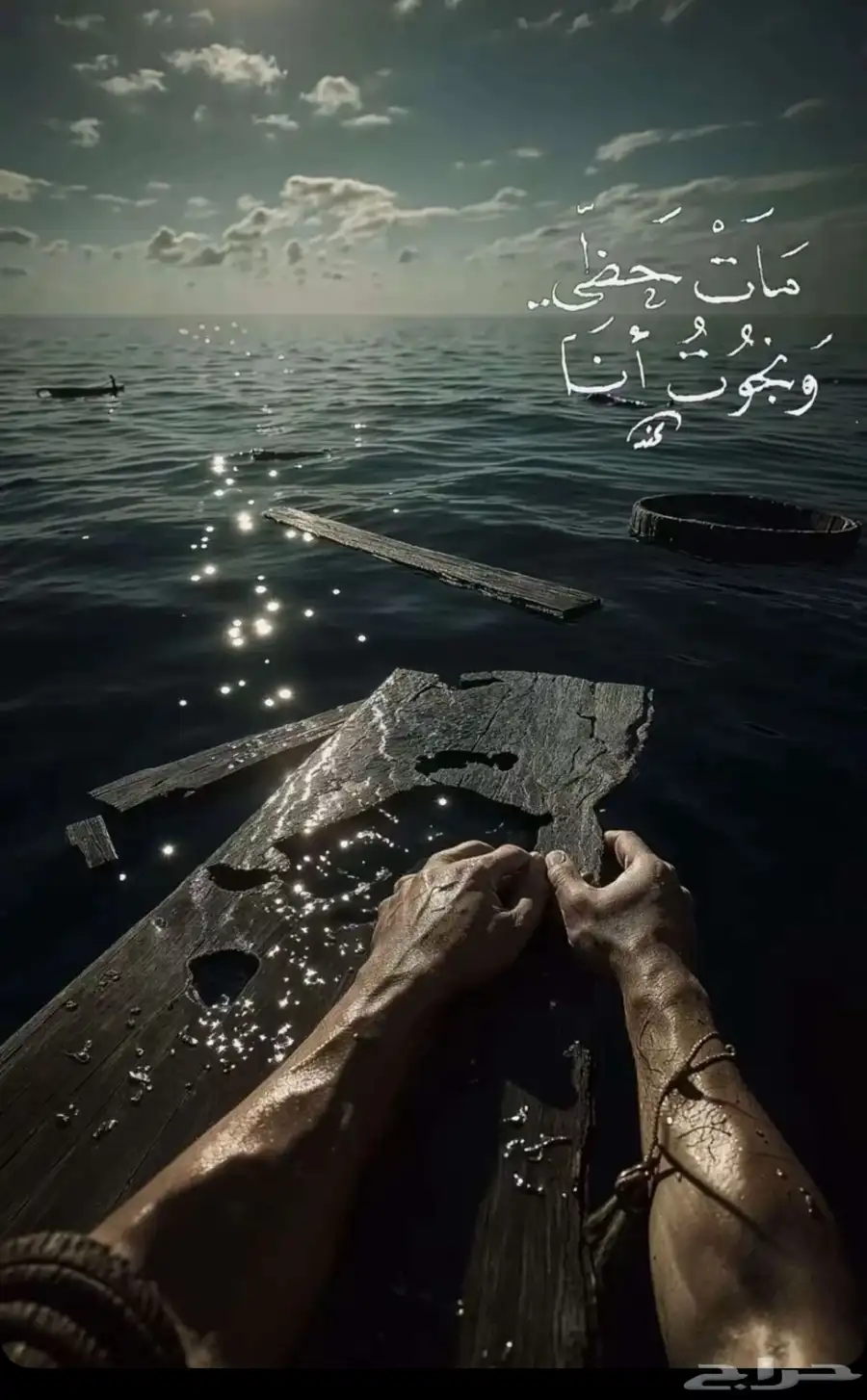 الفوزين للرحلات 3