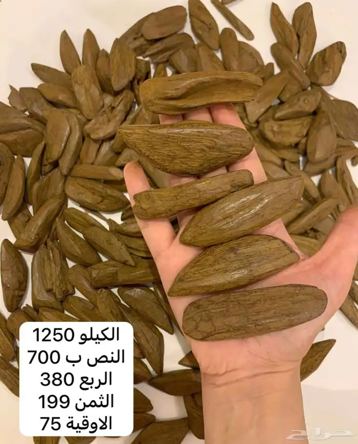 مروكي ملكي 0