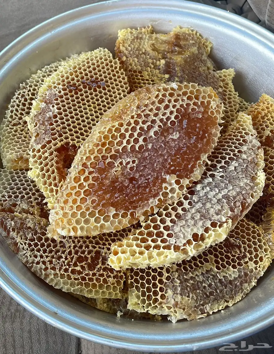 عسل طلح فاخر 1