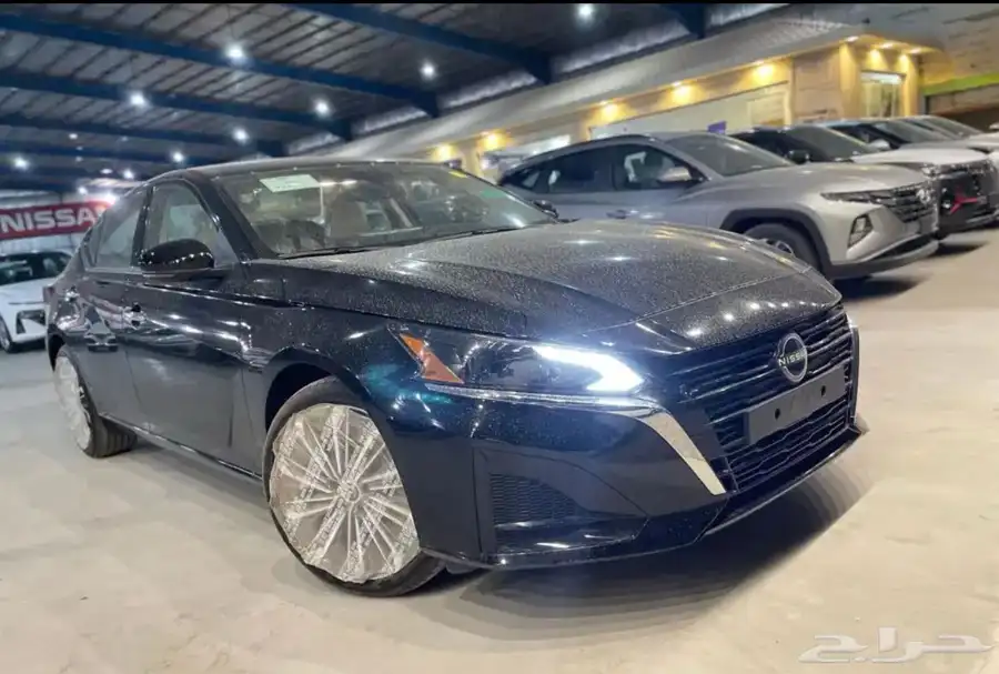 التيما Sv 2025 1