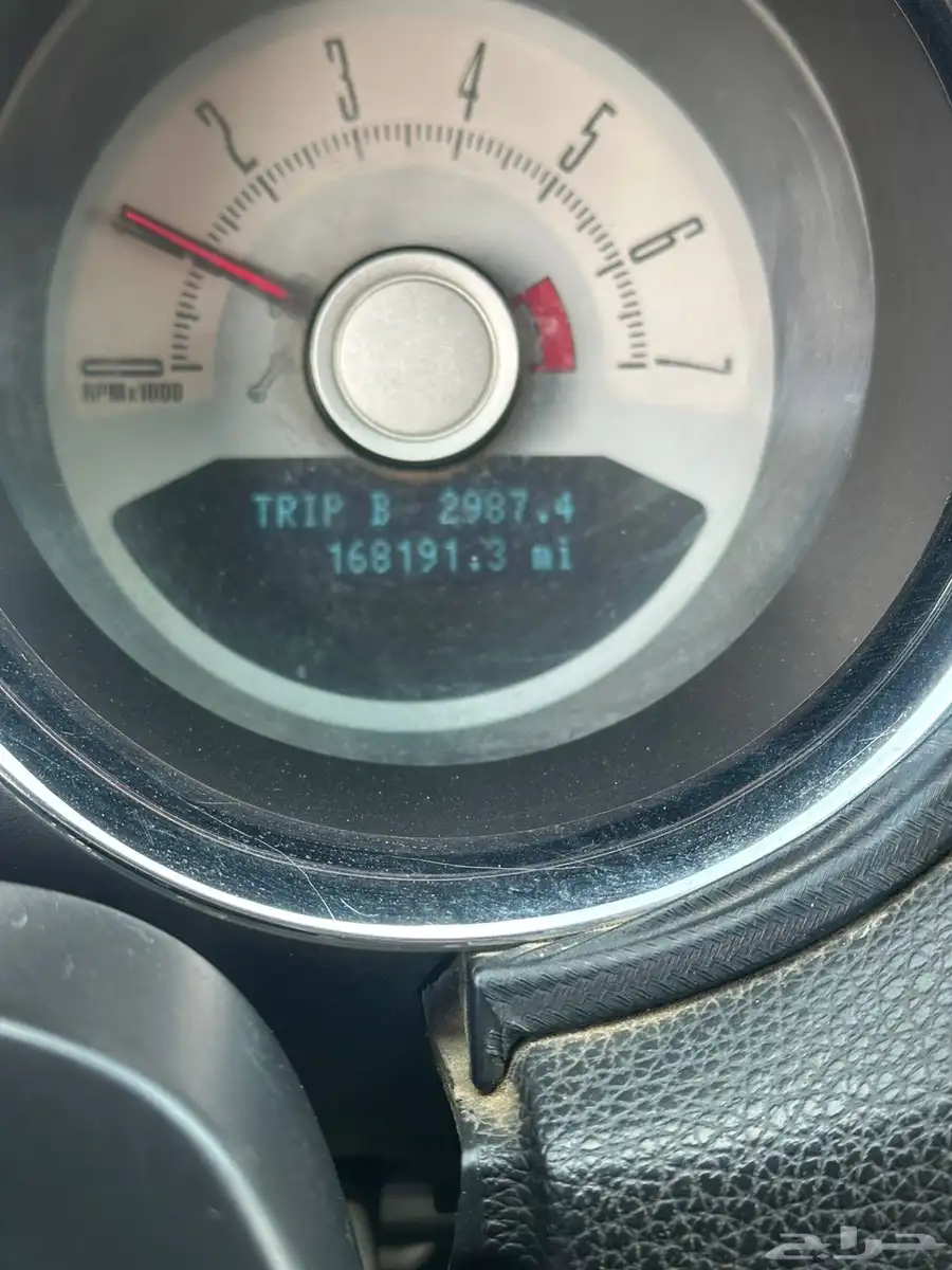 موستنق 2010 4