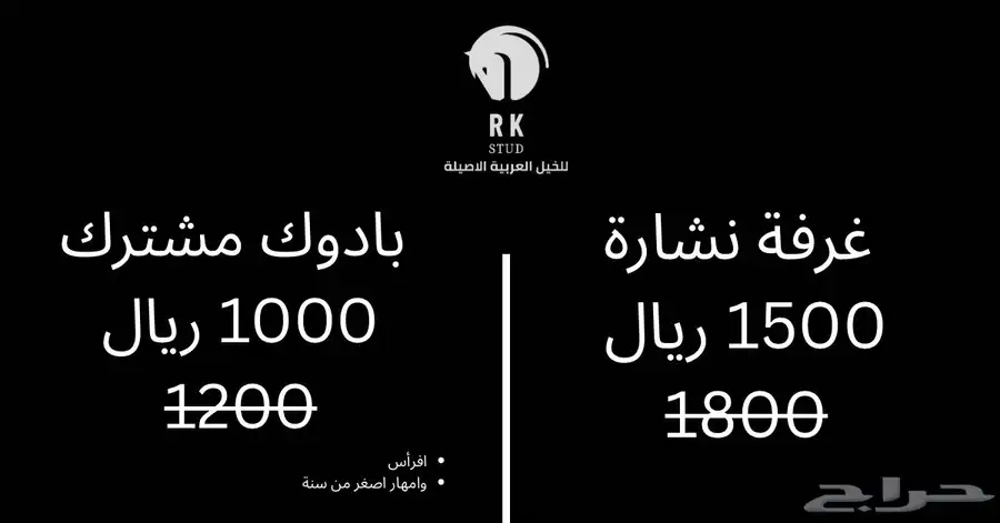ايواء خيل وتدريب ركوب في مربط RK ديراب 3