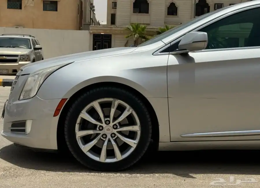 كادلك xts للبيع 8