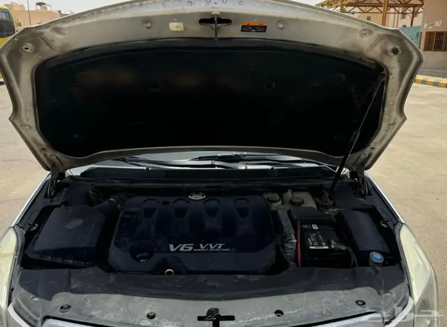 كادلك xts للبيع 31