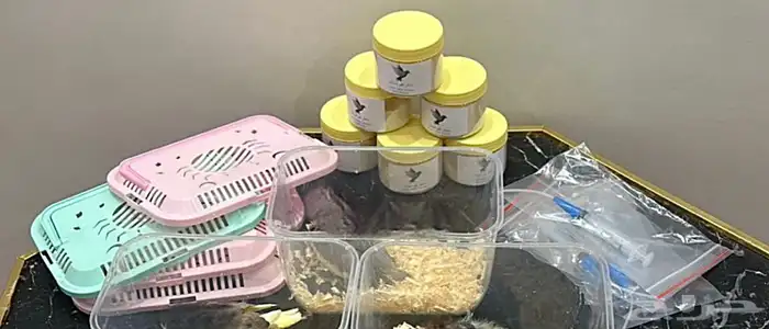 فرخ روز و كروان الؤان مرغوبه 9