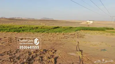 مزرعة للبيع غرب الفوارة 13