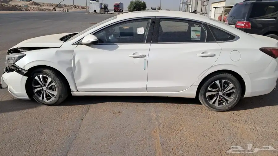 باب شانجان ايدو بلس 2023 1