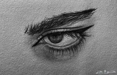 استقبل طلبات الرسم الشخصيه 0