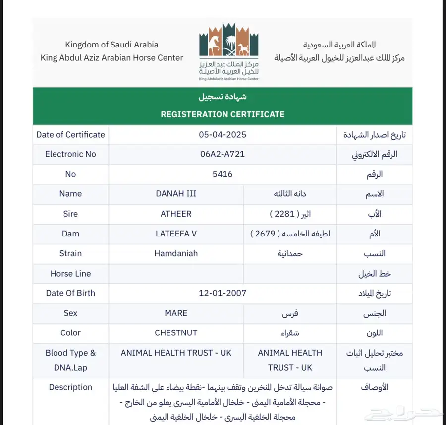 فرس واهو 7