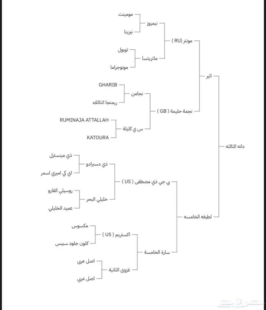 فرس واهو 8