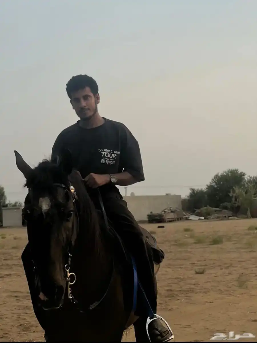 فحل فخم يفرض شخصيه بين الخيول 1