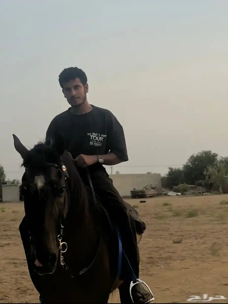 فحل فخم يفرض شخصيه بين الخيول 0