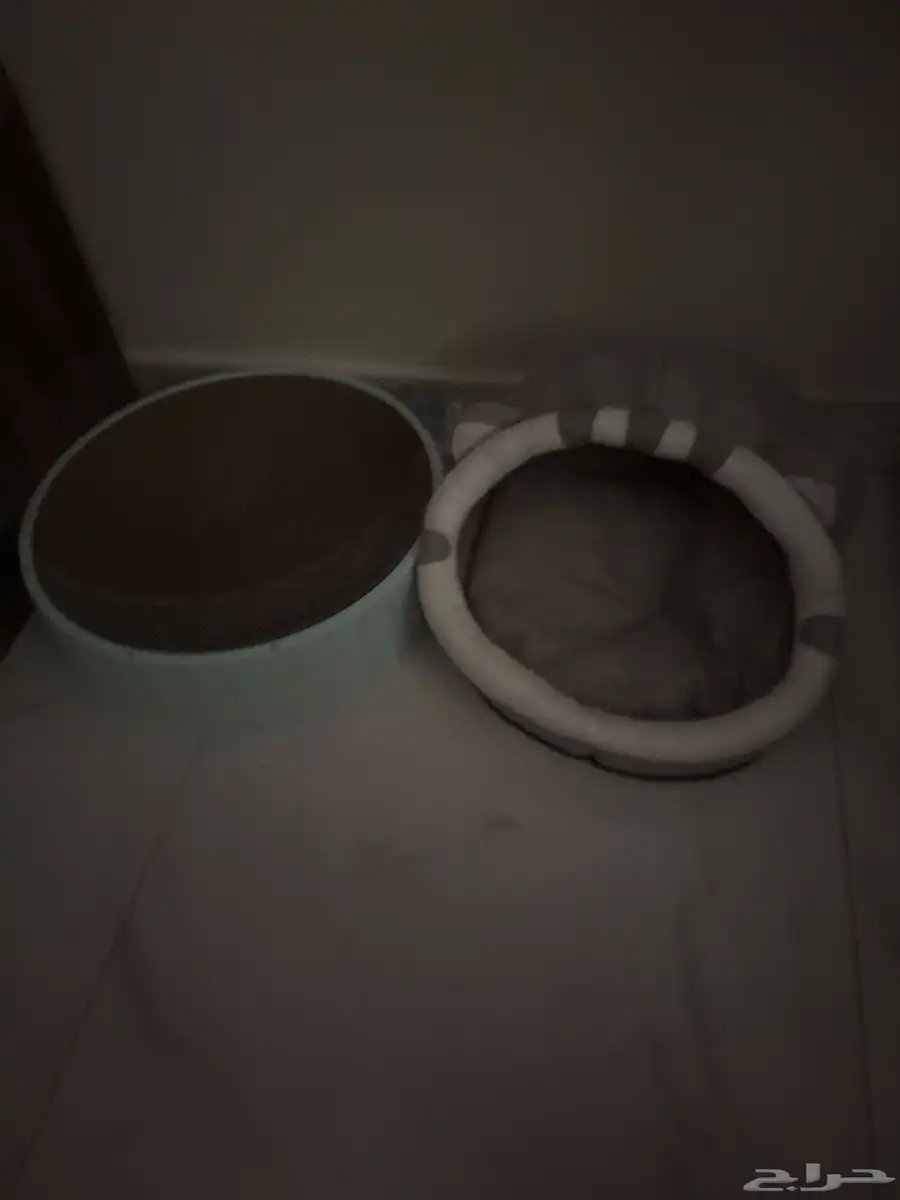 مستلزمات قطط 0