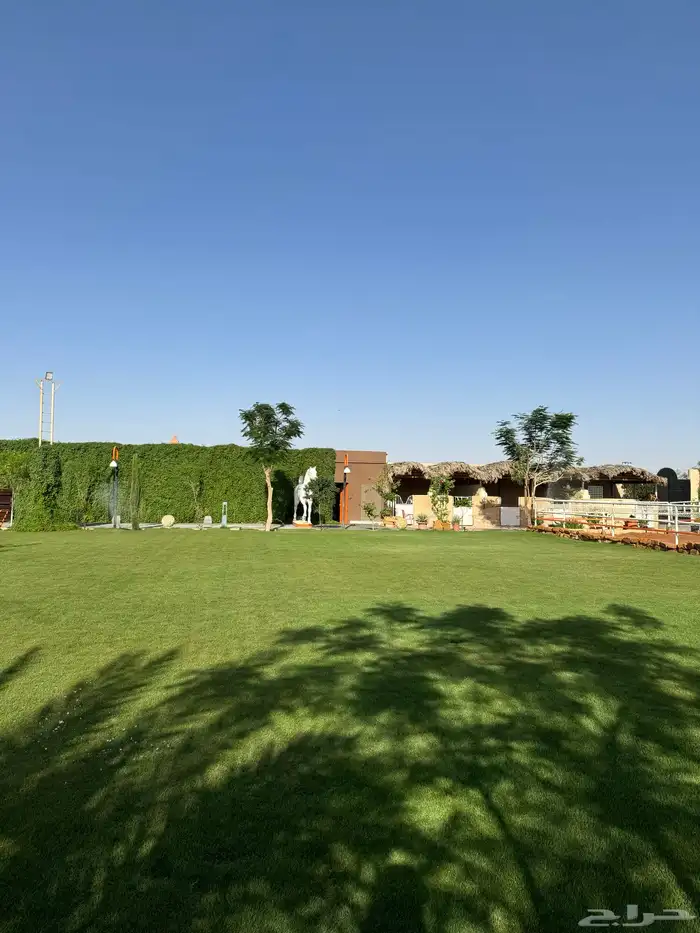 للايجار اليومي منتجع واسطبل 4