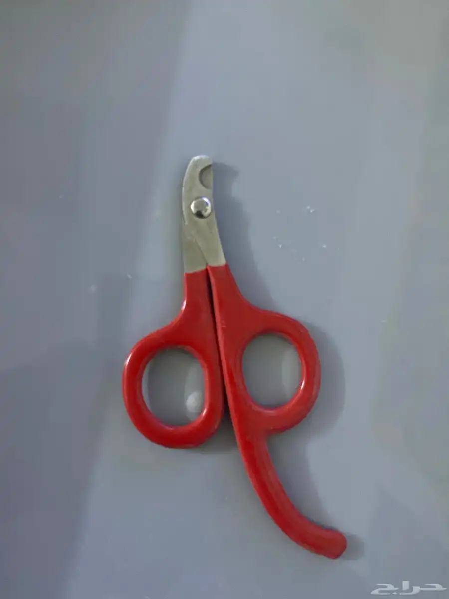 أغراض عنايه قطط للبيع 5