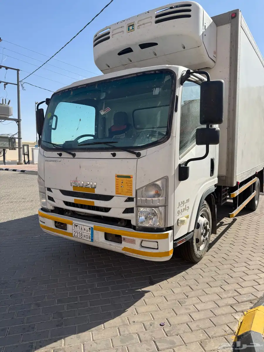 دينا ايسوزو 2018 0